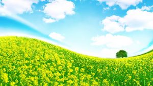 Preview wallpaper meadow, flowers, slope, tree, colors