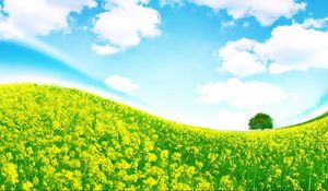 Preview wallpaper meadow, flowers, slope, tree, colors