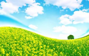 Preview wallpaper meadow, flowers, slope, tree, colors