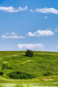 Preview wallpaper meadow, grass, bushes, hill, landscape