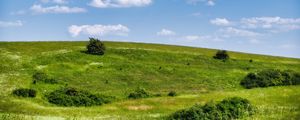 Preview wallpaper meadow, grass, bushes, hill, landscape