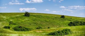 Preview wallpaper meadow, grass, bushes, hill, landscape