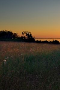 Preview wallpaper meadow, grass, decline, evening, sky