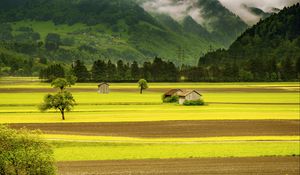 Preview wallpaper meadow, grass, trees, sky