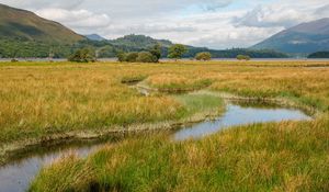 Preview wallpaper meadow, grass, valley, stream, mountains, landscape
