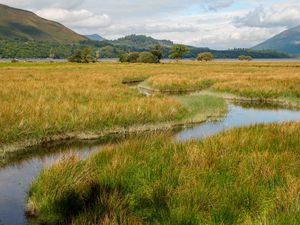 Preview wallpaper meadow, grass, valley, stream, mountains, landscape