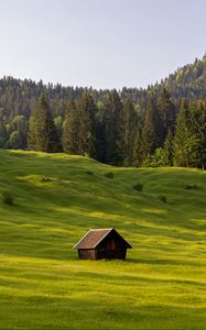 Preview wallpaper meadow, house, grass, trees, forest