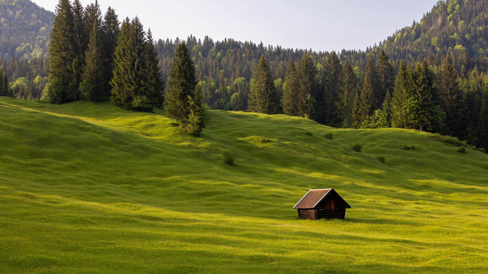 Upper Meadow