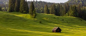 Preview wallpaper meadow, house, grass, trees, forest