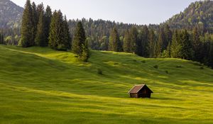 Preview wallpaper meadow, house, grass, trees, forest