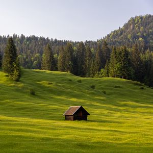 Preview wallpaper meadow, house, grass, trees, forest