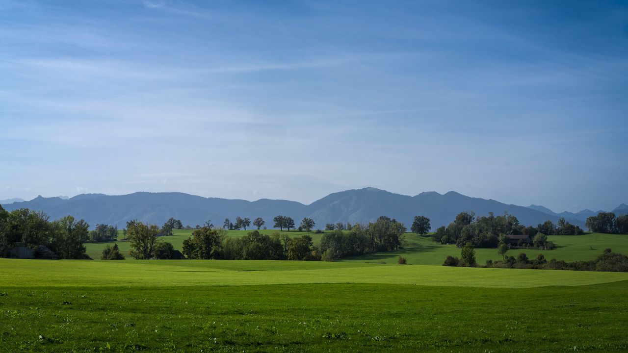 Wallpaper meadow, landscape, trees, mountains, nature