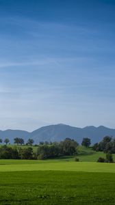 Preview wallpaper meadow, landscape, trees, mountains, nature