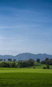 Preview wallpaper meadow, landscape, trees, mountains, nature