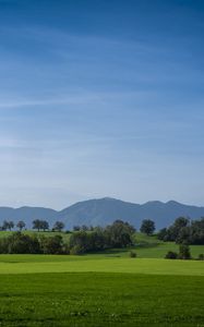 Preview wallpaper meadow, landscape, trees, mountains, nature