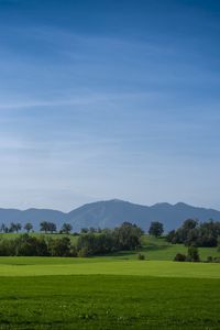 Preview wallpaper meadow, landscape, trees, mountains, nature