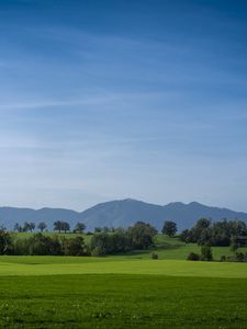 Preview wallpaper meadow, landscape, trees, mountains, nature