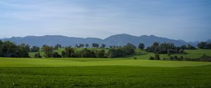 Preview wallpaper meadow, landscape, trees, mountains, nature