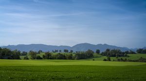 Preview wallpaper meadow, landscape, trees, mountains, nature