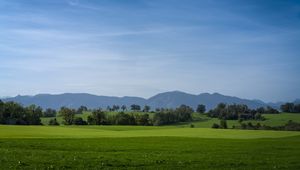 Preview wallpaper meadow, landscape, trees, mountains, nature