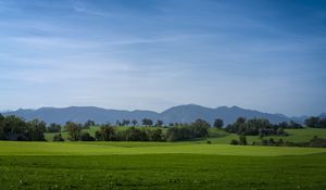 Preview wallpaper meadow, landscape, trees, mountains, nature