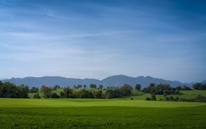 Preview wallpaper meadow, landscape, trees, mountains, nature