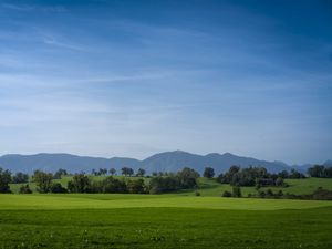 Preview wallpaper meadow, landscape, trees, mountains, nature