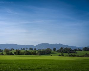 Preview wallpaper meadow, landscape, trees, mountains, nature