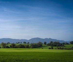 Preview wallpaper meadow, landscape, trees, mountains, nature