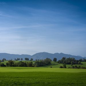 Preview wallpaper meadow, landscape, trees, mountains, nature