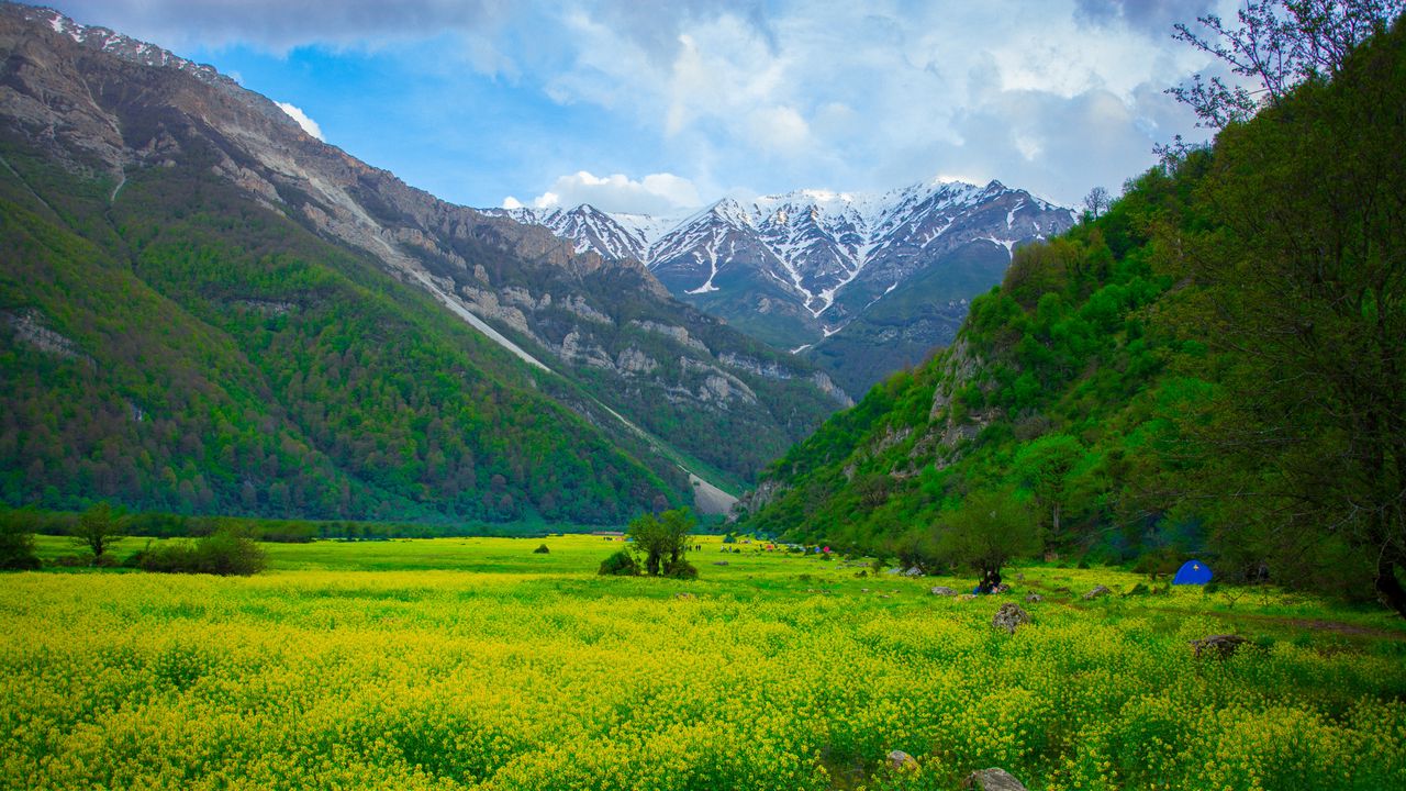 Wallpaper meadow, mountains, flowers, landscape
