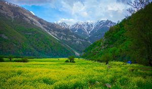 Preview wallpaper meadow, mountains, flowers, landscape