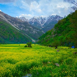 Preview wallpaper meadow, mountains, flowers, landscape
