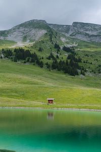 Preview wallpaper meadow, mountains, slope, grass, lake, nature