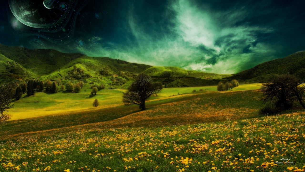Wallpaper meadow, nature, summer, grass, sky