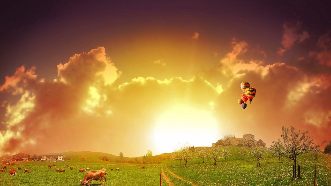 Wallpaper meadow, road, pasture, cows, balloons