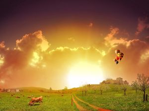 Preview wallpaper meadow, road, pasture, cows, balloons
