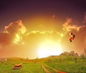 Preview wallpaper meadow, road, pasture, cows, balloons