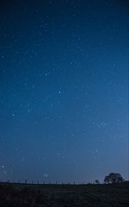 Preview wallpaper meadow, starry sky, night, stars, dark