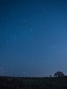 Preview wallpaper meadow, starry sky, night, stars, dark