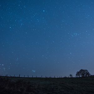 Preview wallpaper meadow, starry sky, night, stars, dark