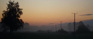 Preview wallpaper meadow, trees, fog, poles, wires