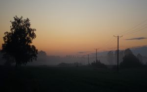 Preview wallpaper meadow, trees, fog, poles, wires