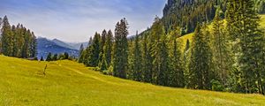 Preview wallpaper meadow, trees, forest, grass, nature