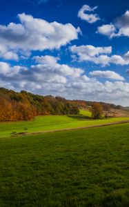 Preview wallpaper meadow, trees, forest, grass, sky, landscape