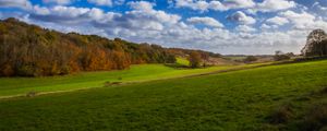 Preview wallpaper meadow, trees, forest, grass, sky, landscape