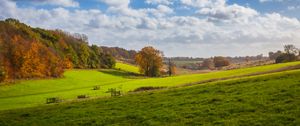 Preview wallpaper meadow, trees, grass, landscape, nature