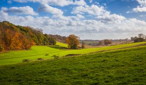 Preview wallpaper meadow, trees, grass, landscape, nature