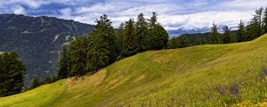 Preview wallpaper meadow, trees, hill, nature, landscape, green