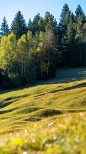 Preview wallpaper meadow, trees, landscape, nature, grass